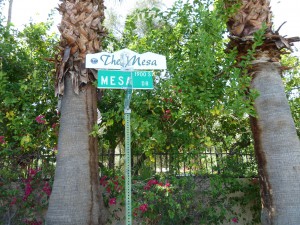 The Mesa